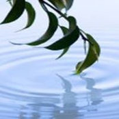 Caroline Mestik's photo