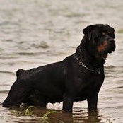 Roger-Tay Bauer's photo