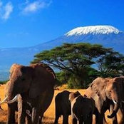 Mike Kariuki's photo