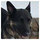 nancy_lorette
