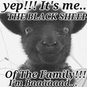 Nikki Kulak's photo
