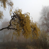 Florence Hackett's photo