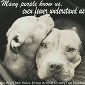 Mary Ann Everett's photo