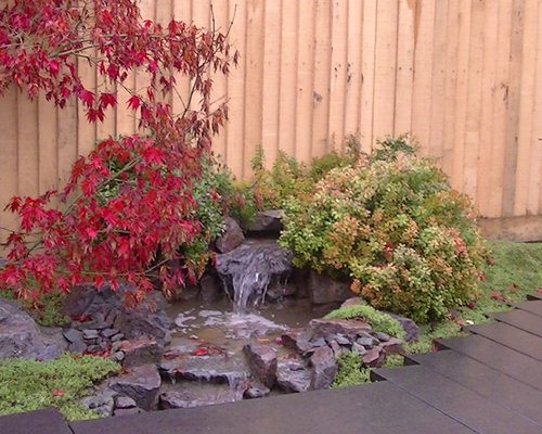 Modern Japanese Garden at Design Studio