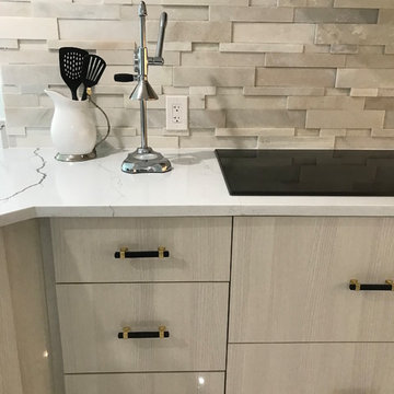 Contempo KItchen Remodel