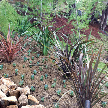 Low-Maintenance Landscape Elements