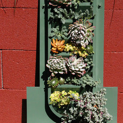 Succulent Wall for Del Mar Home Garden Show 2012 - Outdoor Pots And Planters