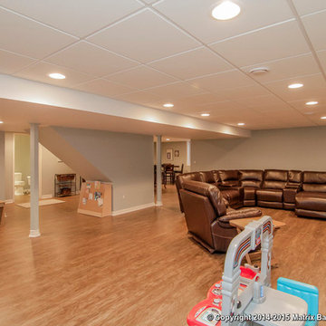 Levin Basement Project
