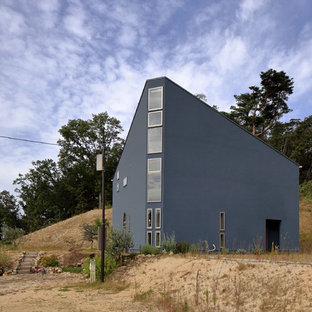 大阪のコンテンポラリースタイルのおしゃれな家の外観 (グレーの外壁、片流れ屋根) の写真