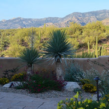 Dessert landscaping