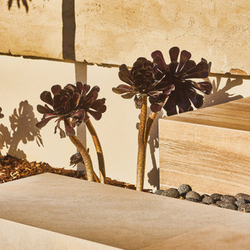 Eucalyptus Landscape