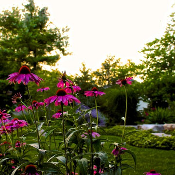 Rochester Urban Ranch