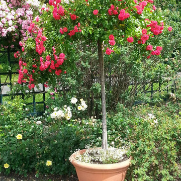 Container Gardening