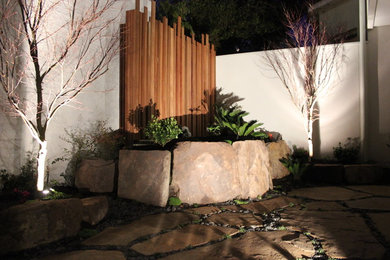 Design ideas for a small asian courtyard shaded garden in Melbourne.