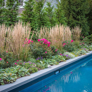 Contemporary Backyard - Montclair, NJ
