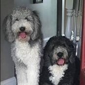 David-Ann Everman's photo