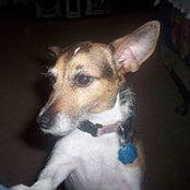 Robert Northrup's photo