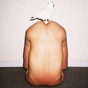 Noor Harb's photo