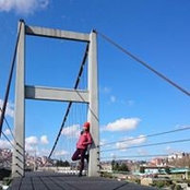 Sharon Wong's photo