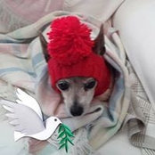 Patricia Amigh's photo
