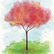 Farzana Tehseen's photo