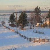 Claire Picard's photo