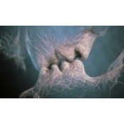 Trocea Andreea's photo