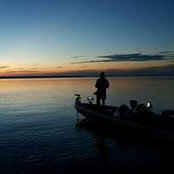 David White's photo