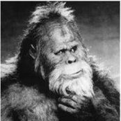 Michael Calvello's photo