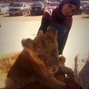 Shaimaa Zayeds foto