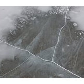 Michael Burgoyne's photo