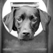 Victoria Pullar's photo