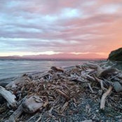 Deneen MacInnes's photo