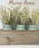 Mason Jar Planter Box, White