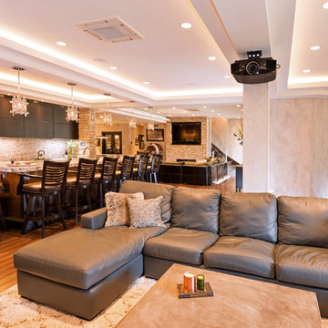Basement Remodel