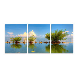 Ready2HangArt - Ready2hangart Bruce Bain 'Tide Islands' Canvas Wall Art - Prints And Posters