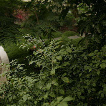 Jardin balinais au coeur de Paris