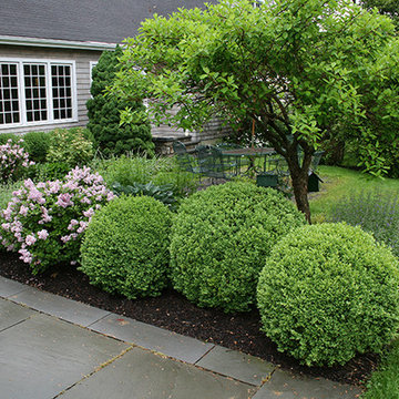 Bluestone Walk