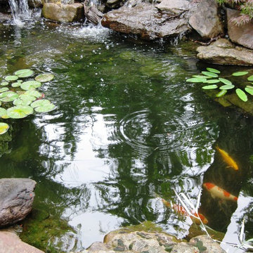 Riverside Garden