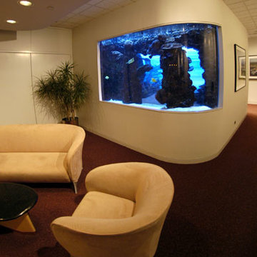 A portfolio of custom aquariums from our 17+ year history.