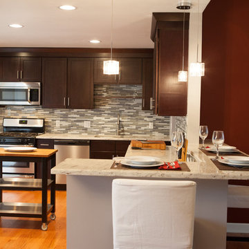 Simply Elegant Kitchen in Arlington Heights