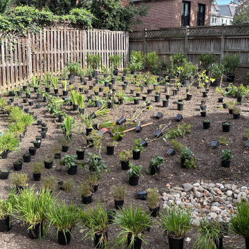 During Photo with Plants Placed