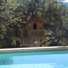 Tree house