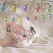 Lou Clement's photo