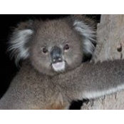 Richard Jones's photo