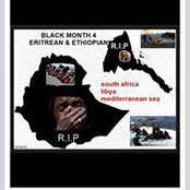 Segen Tekle's photo