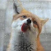 Elka Staley's photo
