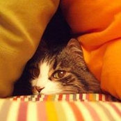Beatriz Cortiñas's photo