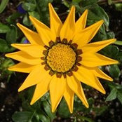 Suzanne Conrad's photo