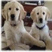 Kerry Croteau's photo